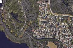 The Community