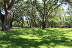 Community grounds