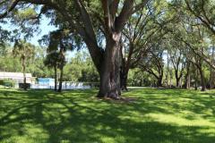 Community grounds